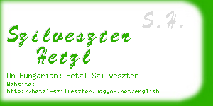 szilveszter hetzl business card
